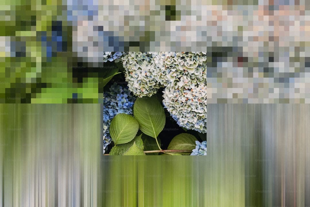 《健康100全民守护行动蓝皮书》案例征集启事